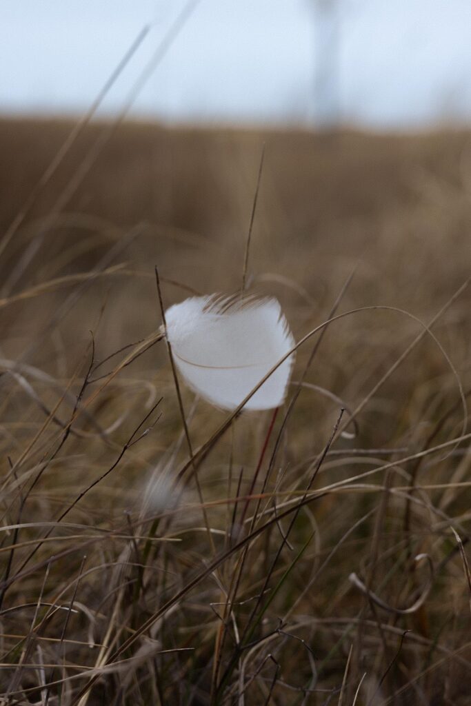 fraufotografintrauer0005