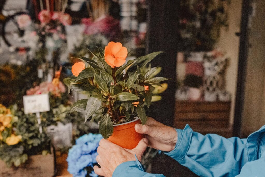 fraufotografintrauer018